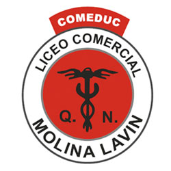 Liceo Comercial Molina Lavin